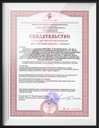 Свидетельство Госрегистрации (СГР) Свидетельство Госрегистрации (СГР)